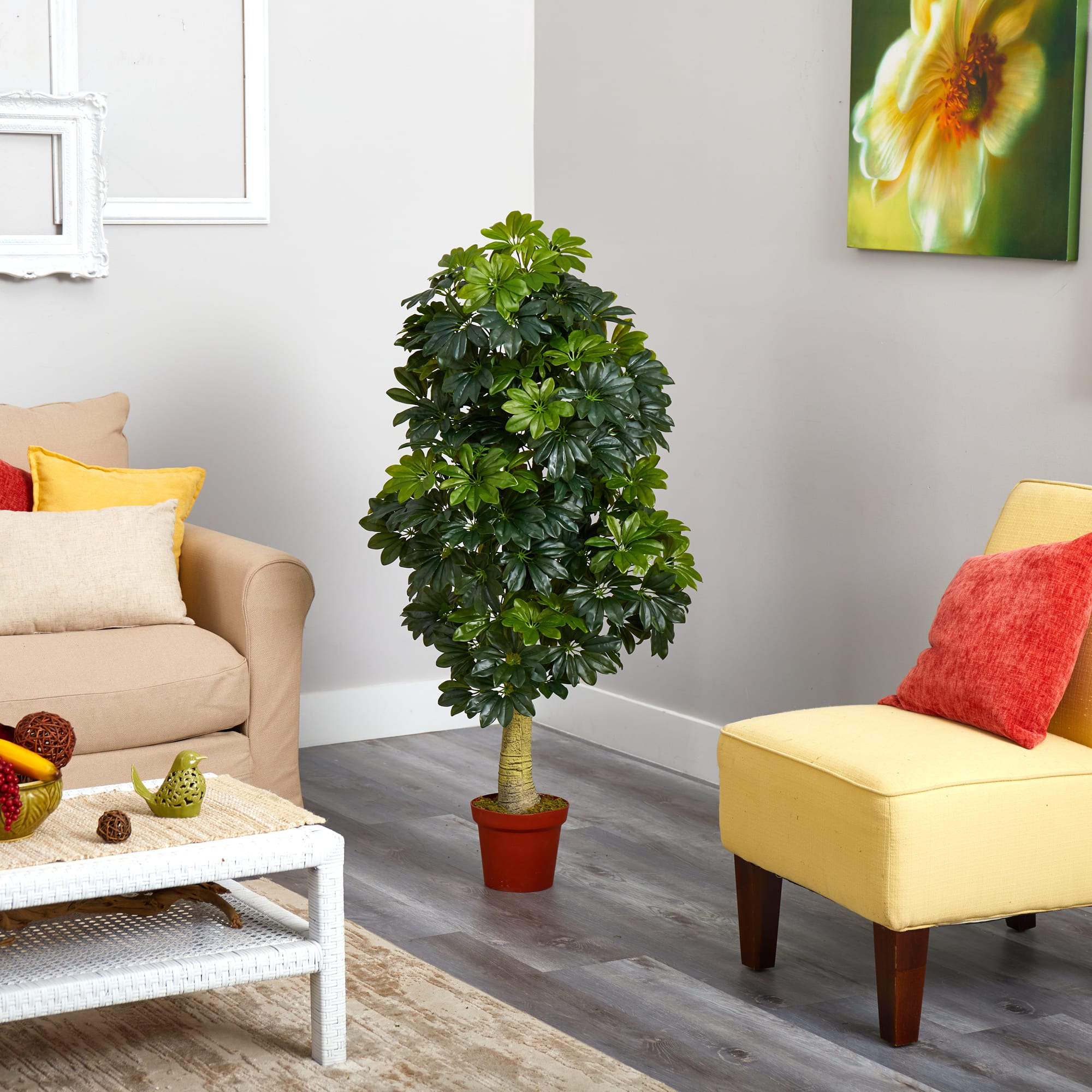 5ft. Potted Umbrella Tree